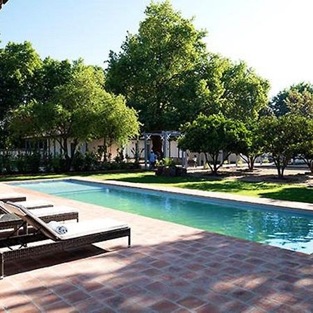 Noi Blend Colchagua Otel Santa Cruz Dış mekan fotoğraf