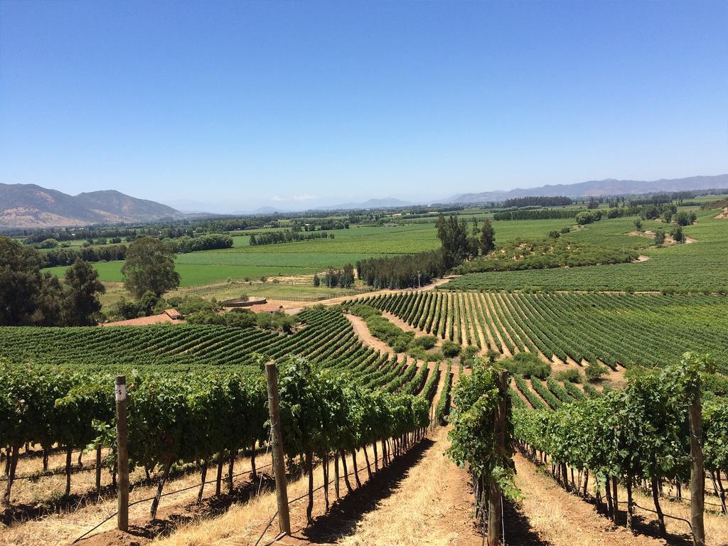Noi Blend Colchagua Otel Santa Cruz Dış mekan fotoğraf